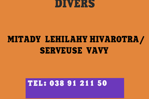 MITADY LEHILAHY HIVAROTRA/SERVEUSE VEHIVAVY