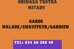 MITADY GARDE MALADE /CHAUFFEUR/GARDIEN 