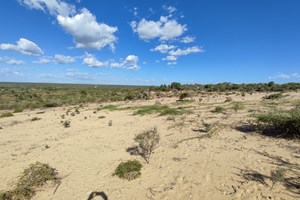 A VENDRE-Terrain 18 128m2 vue panoramique sur mer & brousse, proche belle plage à IFATY Tuléar Madagascar