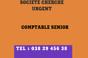 SOCIETE CHERCHE COMPTABLE SENIOR 