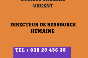 UN SOCIETE CHERCHE DIRECTEUR DE RESSOURCE HUMAINE 