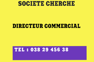 WIP WORK MITADY DIRECTEUR COMMERCIAL 