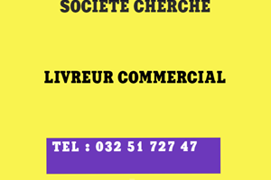 UN SOCIETE CHERCHE LIVREUR COMMERCIAL 