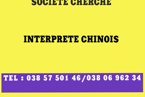 UN SOCIETE CHERCHE INTERPRETE CHINOIS 