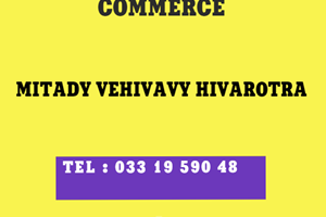 MITADY VEHIVAVY HIVAROTRA 