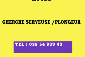 HOTEL CHERCHE SERVEUSE / PLONGEUR 