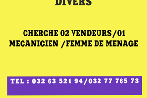 UN SOCIETE CHERCHE 02 VENDEURS/01 MECANICIEN /FEMME DE MENAGE 