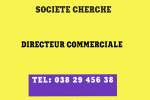 UNE SOCIETE CHERCHE DIRECTEUR COMMERCIALE 