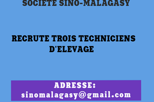 UN SOCIETE SINOMALAGASY TROIS TECHNICIEN ELEVAGE 