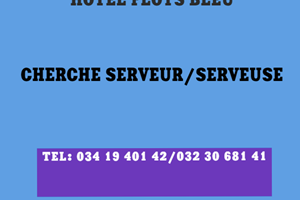 HOTEL FLOT BLEU CHERCHE SERVEUSE