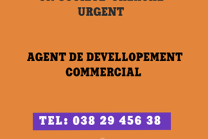 ORINASA MITADY AGENT DE DEVELOPPEMENT COMMERCIAL 