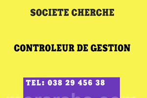 MITADY CONTROLEUR DE GESTION 