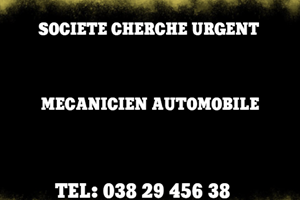 MITADY MECANICIEN AUTOMOBILE 