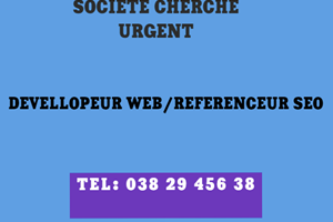 SOCIETE CHERCHE URGENT DEVELOPPEUR WEB/REFERENCEUR SEO 