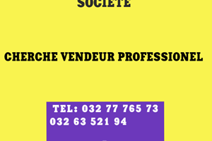 RECHERCHE VENDEUR PROFESSIONEL 