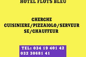 HOTEL FLOTS BLEU MITADY CUISINIERE/PIZZAIOLO/SERVEUR SE 