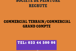 SOCIETE DE PEINTURE RECRUTE COMMERCIAL SUR TERRAIN/COMMERCIAL GRAND COMPTE 