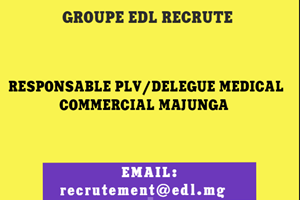 GROUPE EDL RECRUTE RESPONSABLE PLV /DELEGUE MEDICAL/COMMERCIAL MAJUNGA 