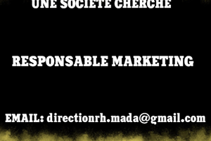 SOCIETE LEADER CHERCHE RESPONSABLE MARKETING DIGITAL