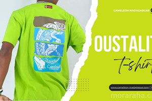 Caméléon Madagascar - T-shirt Oustaleti