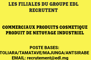 LES FILAILLES DU GROUPE EDL RECRUTENT COMERCIAUX POSTE TOLIARA/TAMATAVE/MAJUNGA/ANTSIRABE